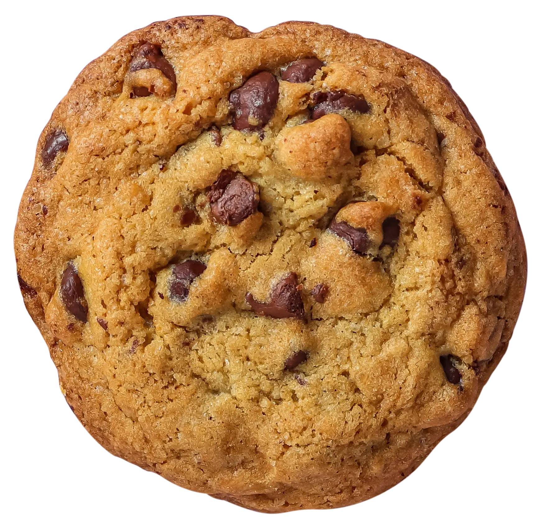 Ein köstlich aussehender Keks
